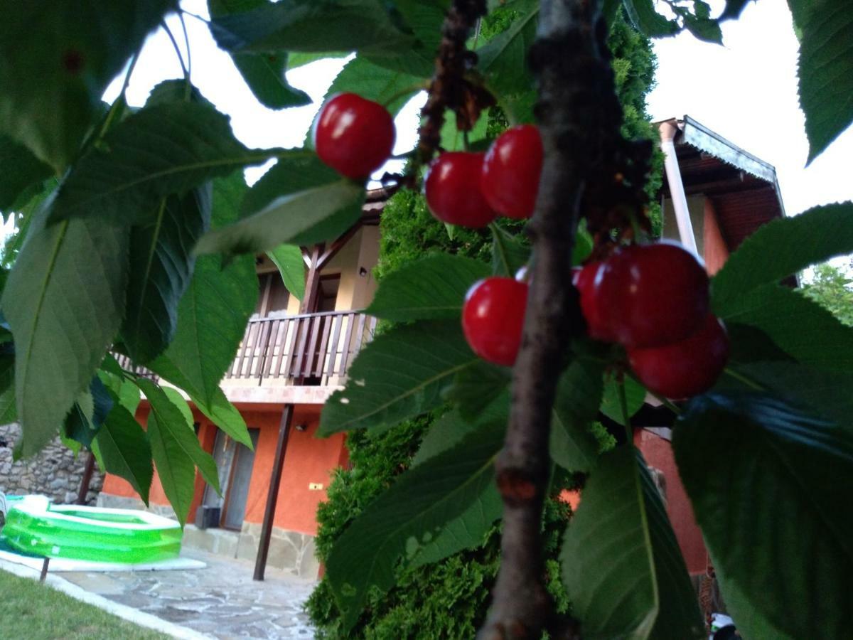 Villa Sunset House Varna Exterior foto